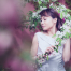 Cherry Blossom