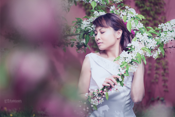 Cherry Blossom